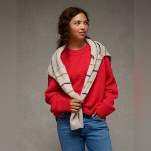 AE Whoa So Soft Classic Crew Neck Sweater